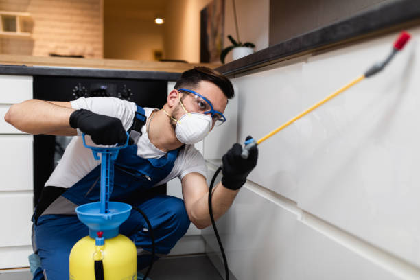 Best Pest Prevention Services  in Emigration Canyon, UT