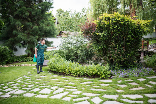 Best Flea Control Services  in Emigration Canyon, UT